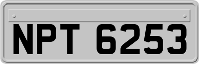 NPT6253