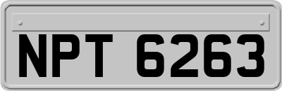 NPT6263