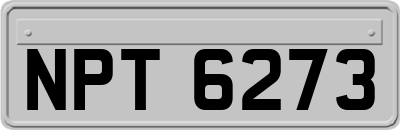 NPT6273