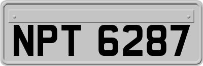 NPT6287