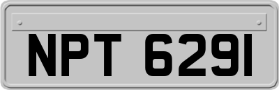 NPT6291