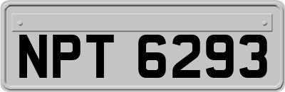 NPT6293