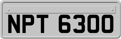 NPT6300
