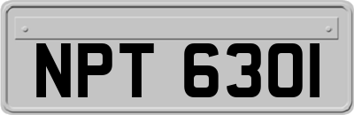 NPT6301