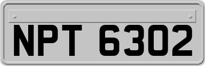 NPT6302