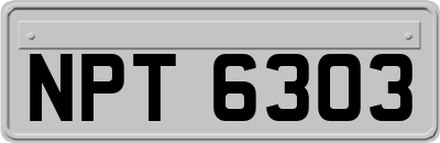 NPT6303