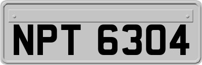 NPT6304