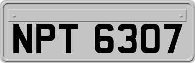 NPT6307