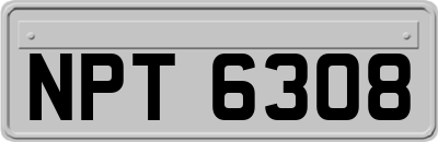 NPT6308