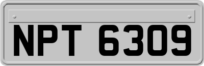 NPT6309