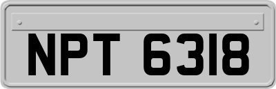 NPT6318