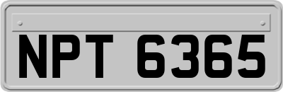 NPT6365