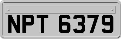 NPT6379