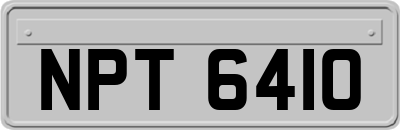 NPT6410