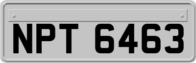 NPT6463