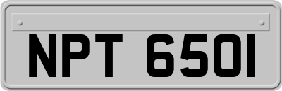 NPT6501