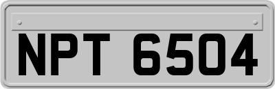 NPT6504