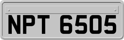 NPT6505