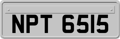 NPT6515