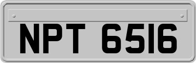 NPT6516