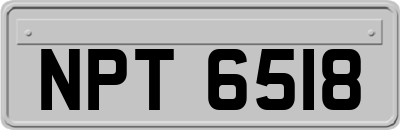 NPT6518