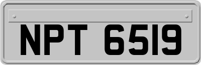 NPT6519