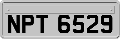 NPT6529