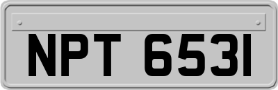 NPT6531
