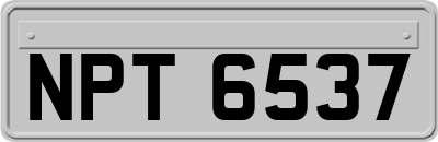 NPT6537