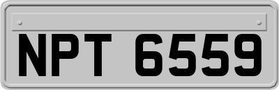 NPT6559