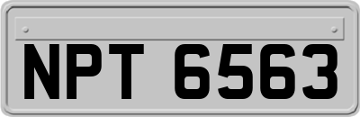 NPT6563