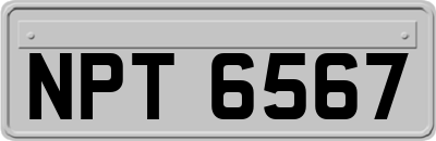 NPT6567