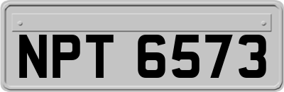 NPT6573