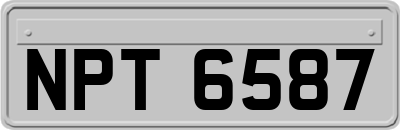 NPT6587