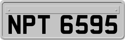 NPT6595