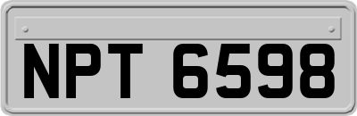 NPT6598