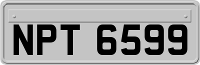 NPT6599