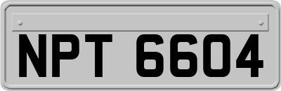 NPT6604