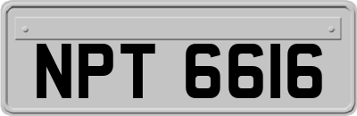 NPT6616