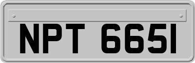 NPT6651
