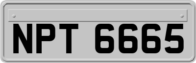 NPT6665