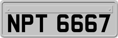 NPT6667