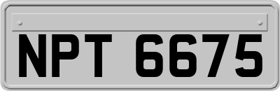 NPT6675