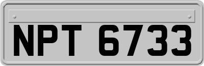 NPT6733