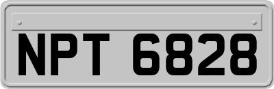 NPT6828