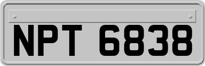 NPT6838