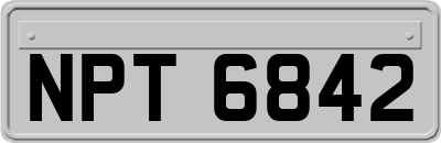 NPT6842