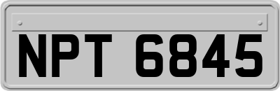 NPT6845