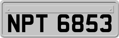 NPT6853
