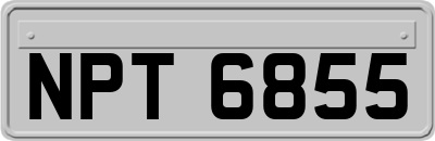NPT6855
